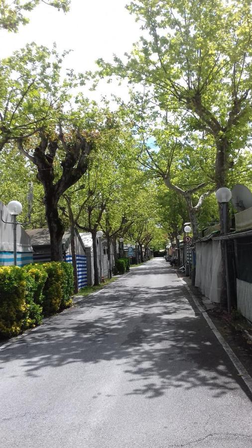 Camping Calatella Parco Di Vacanza Marina di Massa Exterior foto